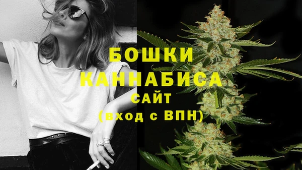 амф Зерноград